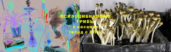 кокс Богородицк