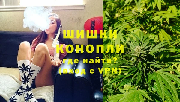 шишки Туринск